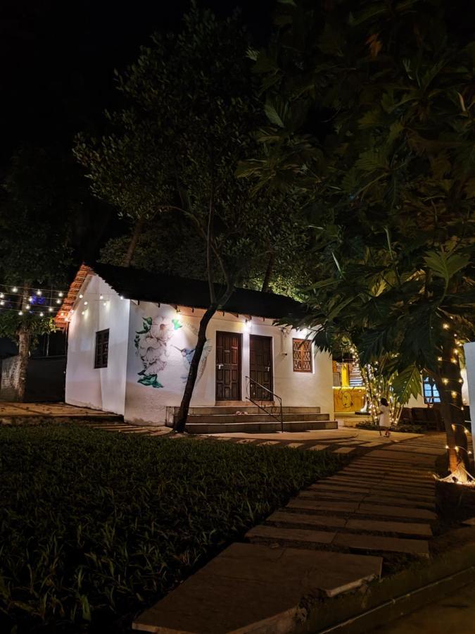 The Funky Monkey Hostel Andžuna Exteriér fotografie